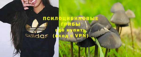a pvp Коряжма