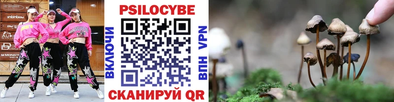 Псилоцибиновые грибы мухоморы  Венёв 
